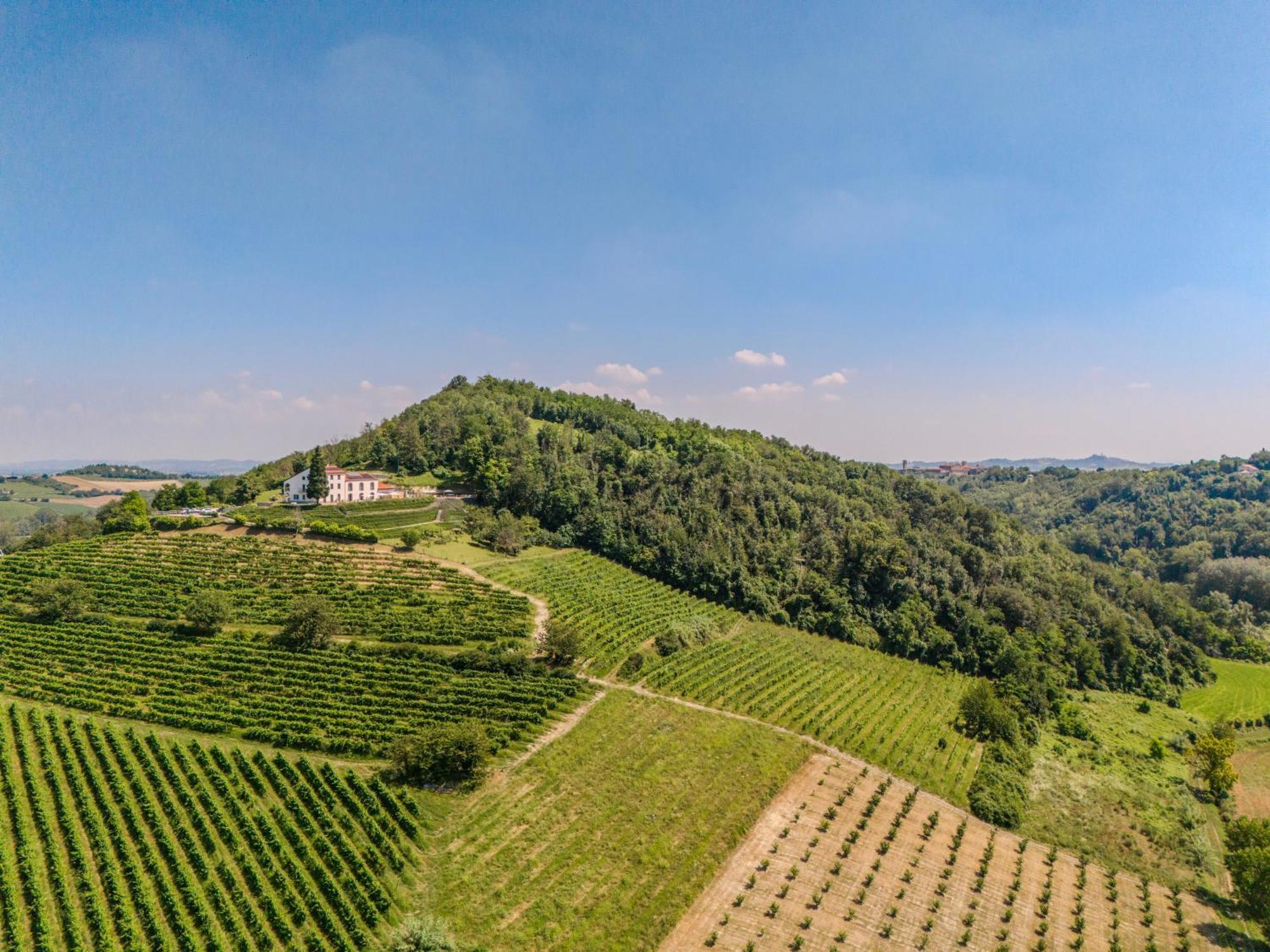 Ozzano Monferrato Villa Rocco Country House المظهر الخارجي الصورة